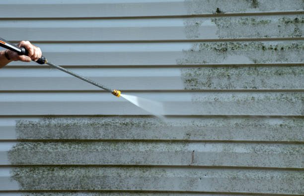 Local Pressure Washing Services in Winnebago, MN