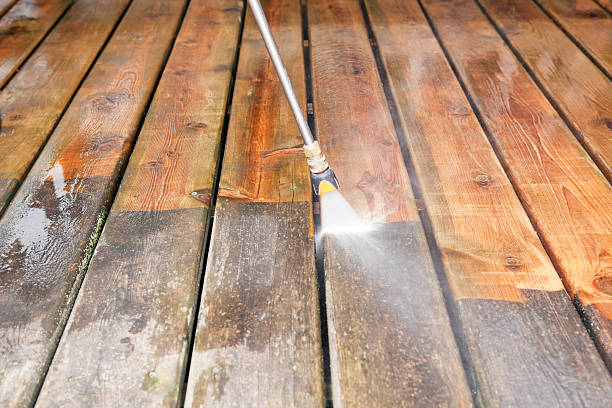 Best Garage Pressure Washing  in Winnebago, MN