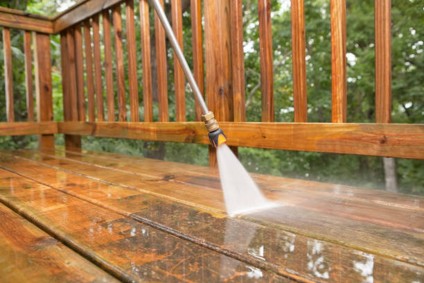 Best Local Pressure Washing Services  in Winnebago, MN