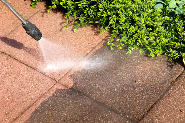 Best Roof Pressure Washing  in Winnebago, MN